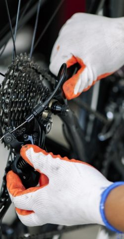 Comprehensive bike servicing
